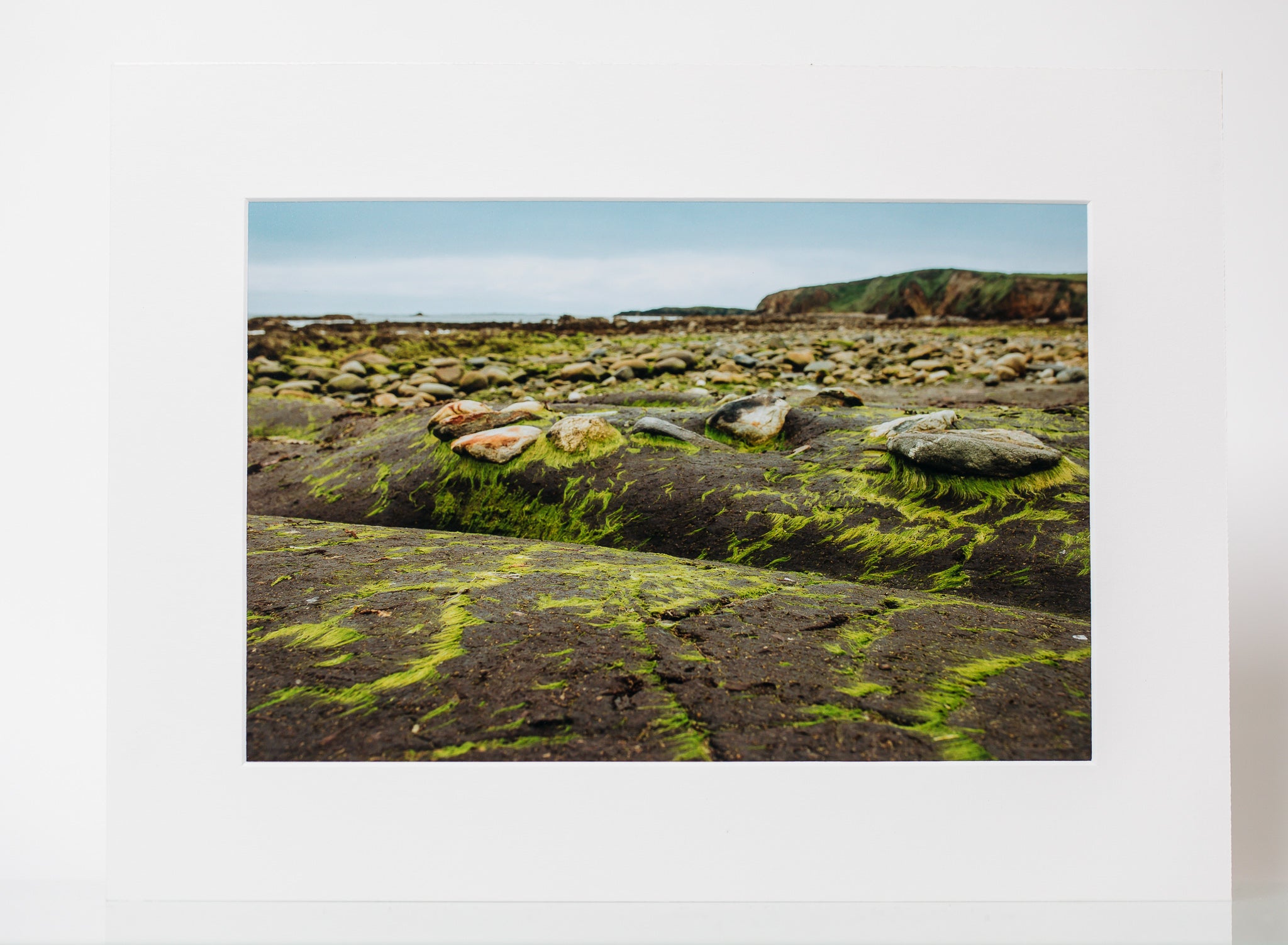 Moss on the Beach - Mounted Print