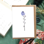 Botanical Cards - Various Styles