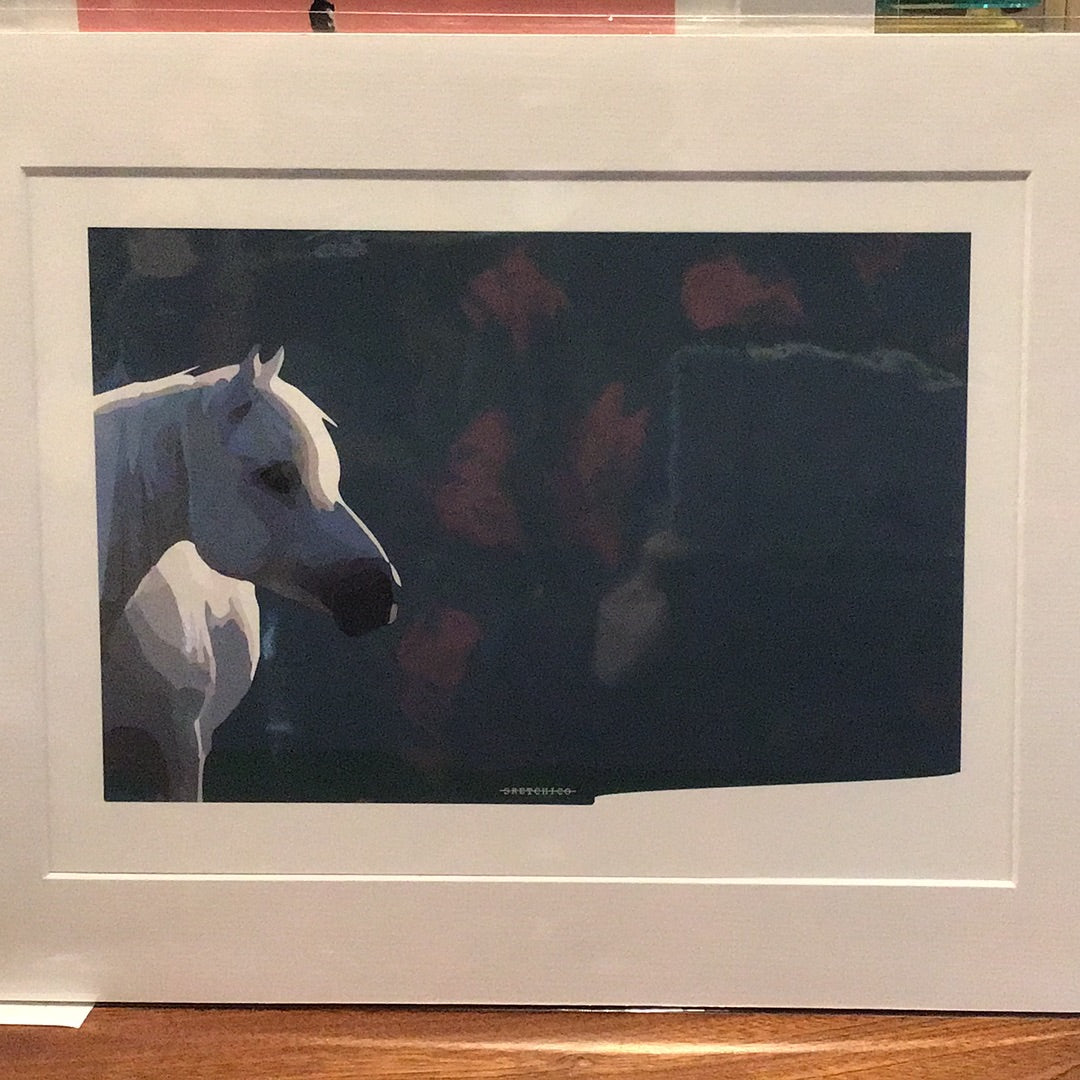 Horse Print Mount Sketchico