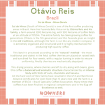Nowhere Coffee - Otávio Reis - Brazil - 250g Wholebean
