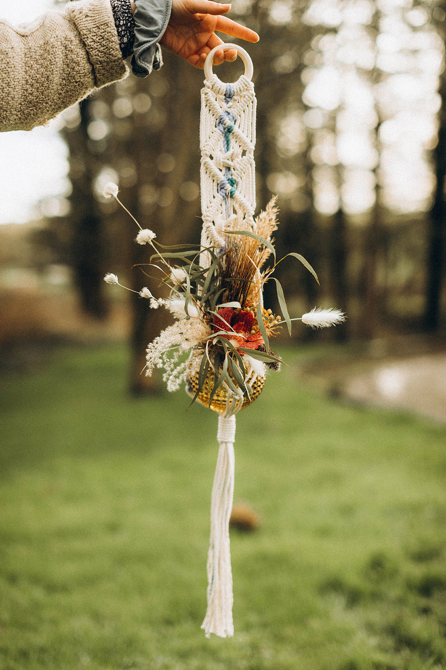 Pacie Grews Infinity Plant Hangers